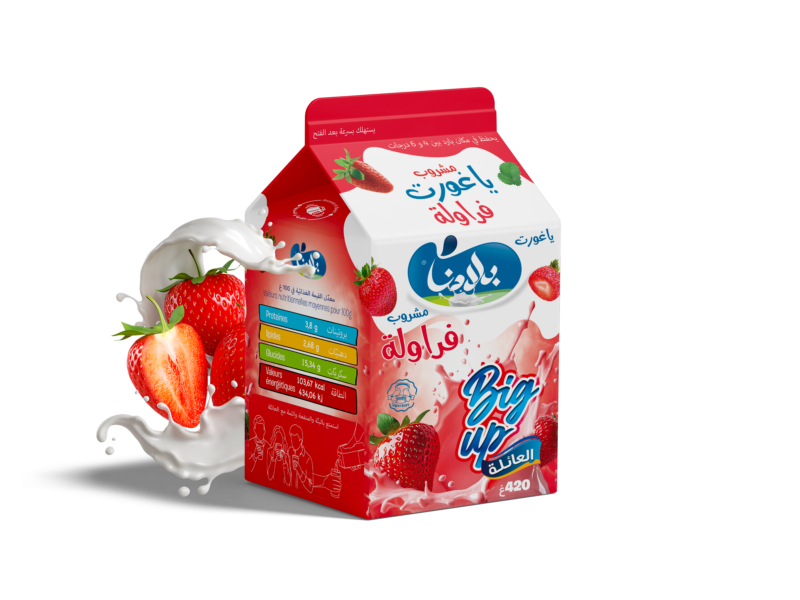 Fraise à boire 420g
